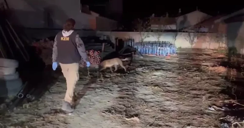 Zehir tacirlerinden pes artık dedirten yöntem