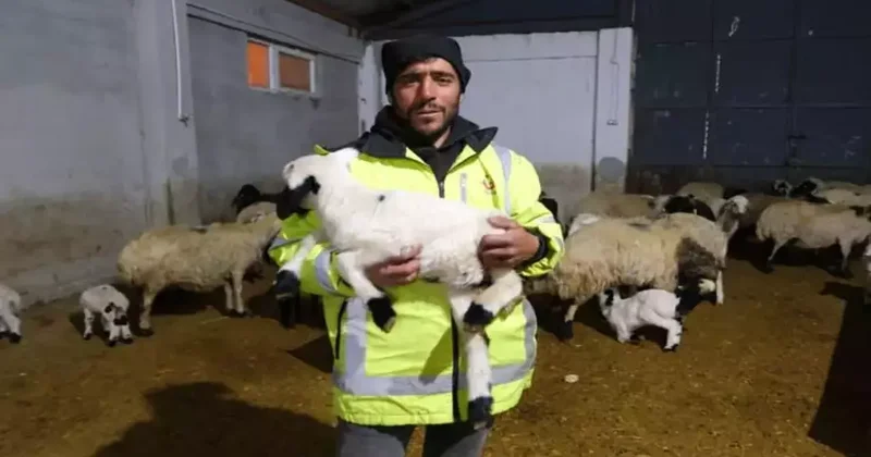 Bakanlık desteğiyle çiftlik kurdu! Değerine inanamayacaksınız...