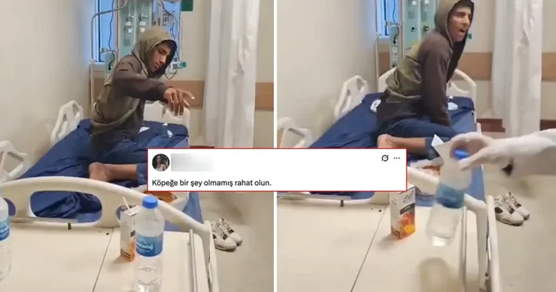 Kuduzdan hayatını kaybeden genç için yapılan yoruma tepki yağıyor