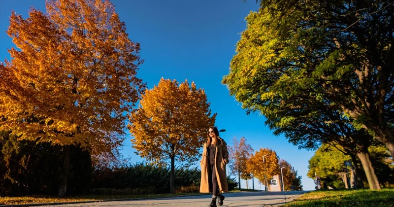 İklim değişikliği ara mevsimleri kısaltıyor