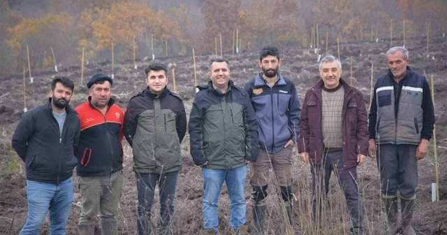 Manyas ta orman köylüsüne gelir getirici ağaçlandırma Balıkesir Haberleri