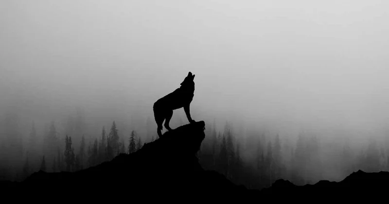 Kurt Ayı 3 burcun 2026 rotasını belirleyecek! Sözcü Gazetesi