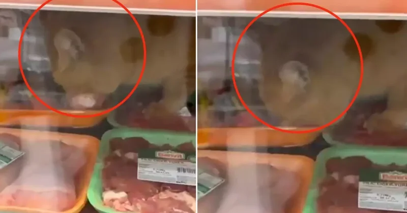 Türkiye nin en büyük zincir marketlerinden birinde hijyen skandalı