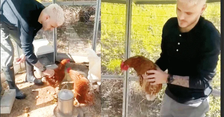 Mauro Icardi’ye tavuk büyüsü