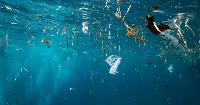 Anne sütünde dahi tespit edilen mikroplastikler çevreyi ve insan sağlığını tehdit ediyor İzmir Haberleri