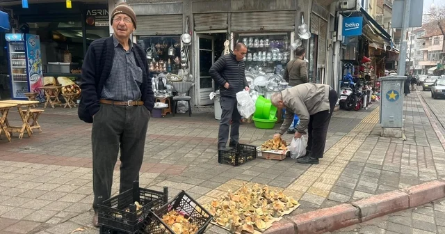 Tavşanlı da Aralık ayı sonunda da Melki mantarı bereketi Sezon başında kilogramı 400 TL den satılan mantar, şimdilerde 100 ile 150 TL arasında alıcı buluyor Kütahya Haberleri