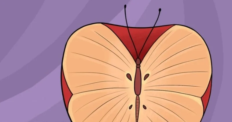 Bu görselde ilk önce hangisini görüyorsunuz? İlk gördüğünüz nesne en derin korkunuzu ortaya çıkarabilir!