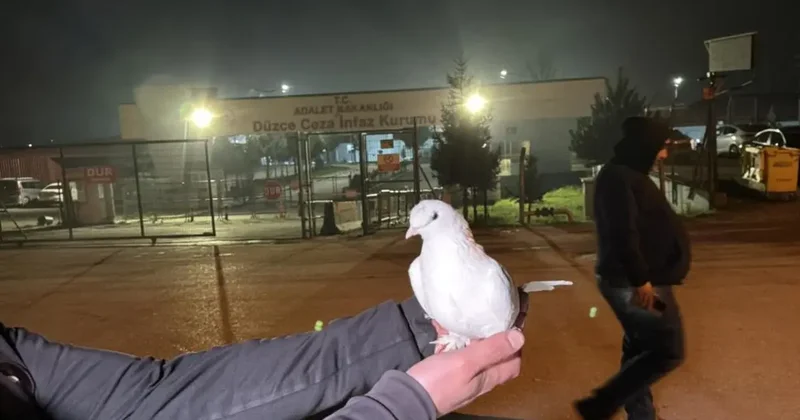 Yargı paketi resmileşti, cezaevlerinden tahliyeler başladı! Beyaz güvercin uçurdular
