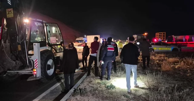 Malatya da milyonluk yarış tayları çiftlikten kaçtı; 8 i öldü, bazıları kayıp Malatya Haberleri