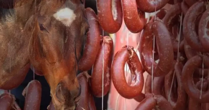 Vatandaşa at eti yedirmişler! Bakanlık, markayı da üretildiği ili de ifşa etti