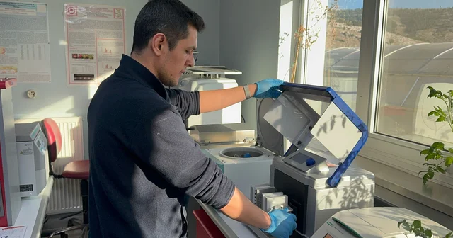 Kovid 19 ve benzeri salgınlara karşı domates kullanarak yenilebilir aşı üretmeyi hedefliyorlar Isparta Haberleri