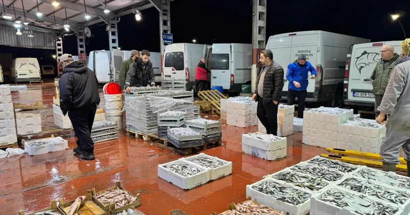 Her üç kişiden biri o balığı yedi: 3,5 ayda satılan 34 bin ton balığın yarısı tek bir türden Sözcü Gazetesi