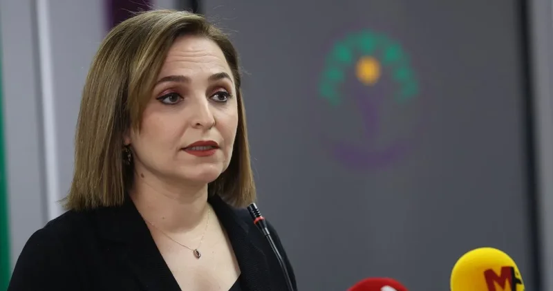 DEM Parti: Silah bırakan herkes düzenlemeye dahil edilmeli