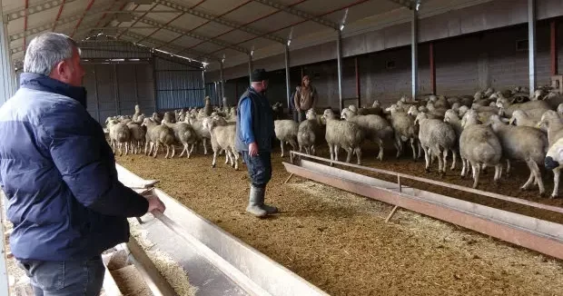 Yozgat haberleri Babasıyla ettiği kavga, kaderini bambaşka bir yere sürükledi 25 Aralık 2025