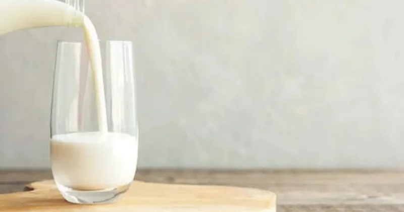 Kefir yaşlanmayı geciktiriyor