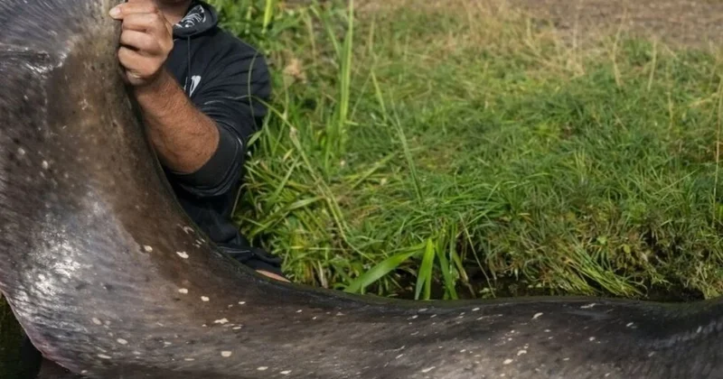 İki balıkçı 3 metrelik dev balıkla rekor kırdı Sözcü Gazetesi