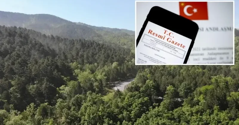 Resmi Gazete de yayımlandı: 11 ilde bazı alanlar orman sınırları dışına çıkarıldı Gündem Haberleri