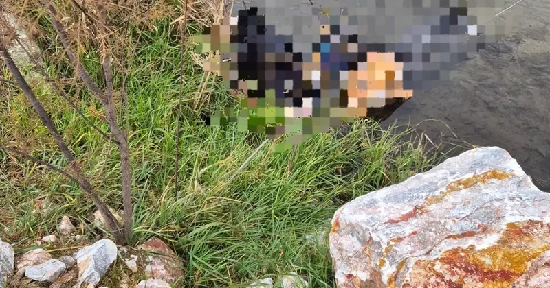 Trenin geçtiği köprüde hayatını kaybetti