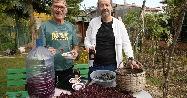Kanser hücrelerinin oluşumunu önleyen kokulu üzümün üretimi arttırılacak Kastamonu Haberleri