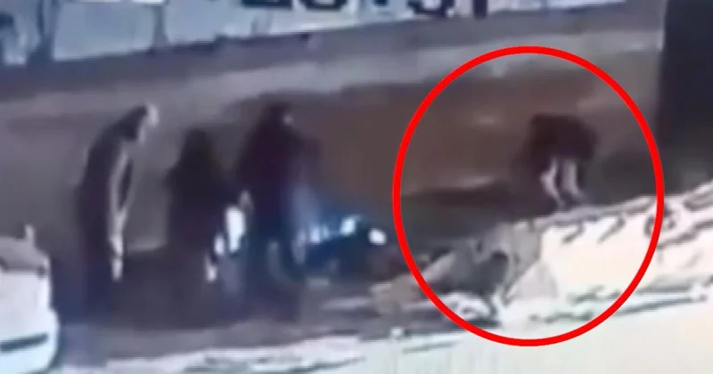 Bursa da başıboş sokak köpeği 3 kişiye saldırdı