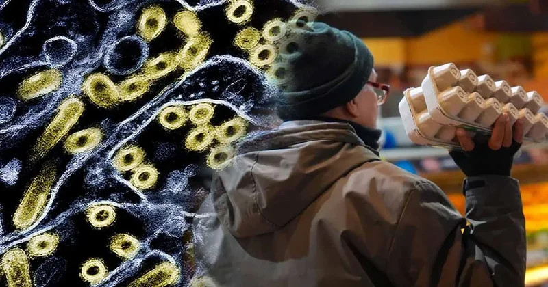 2026 yılına girerken tablo, beş yıl öncesinden çok daha karanlık! Sıradaki durak insanlar mı? Sözcü Gazetesi