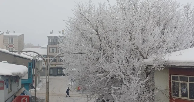 Malazgirt te dondurucu soğuklar görsel şölene dönüştü Muş Haberleri