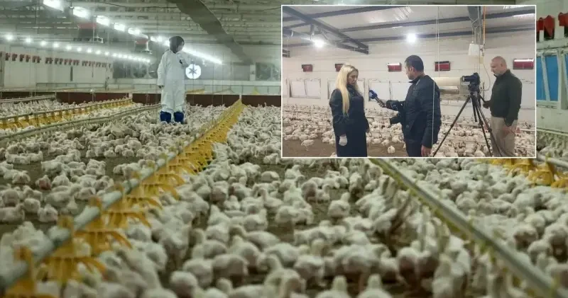 Devlet desteğiyle dev tesisin sahibi oldu: 20 Milyonluk yatırımla 43 yaşında çocukluk hayalini yaşıyor Osmaniye Haberleri