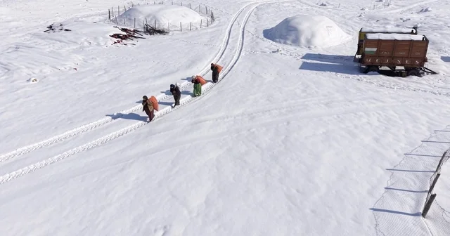 Mazıdağı nın karlı yollarında zorlu mesai: Kadınlar sırtlarında saman taşıyarak kışa meydan okuyor Mardin Haberleri