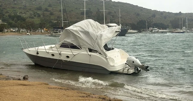 Bodrum da fırtına; ağaçlar devrildi, motoryat karaya oturdu, feribot seferleri iptal edildi Muğla Haberleri
