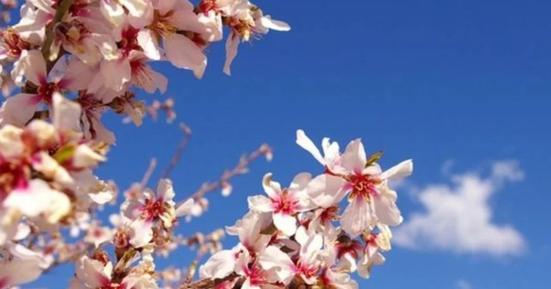 Cemre düşmesi ne zaman, sırasıyla hangi tarihte düşecek? 2026 Cemre düşme tarihleri