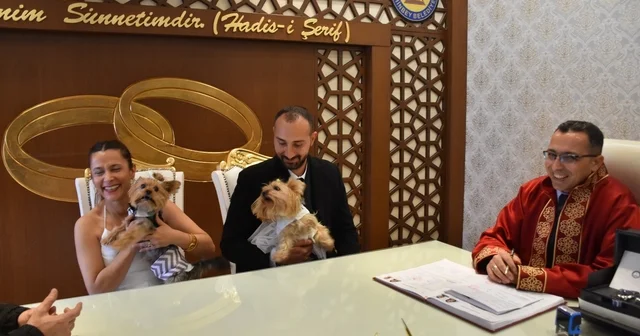 Köpekleriyle birlikte mutluluğa evet dediler Gaziantep Haberleri