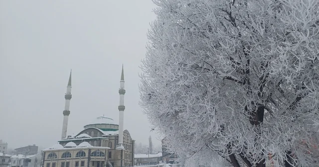 Van ve çevre illerde kar nedeniyle 25 yerleşim yerine ulaşılamıyor Van Haberleri