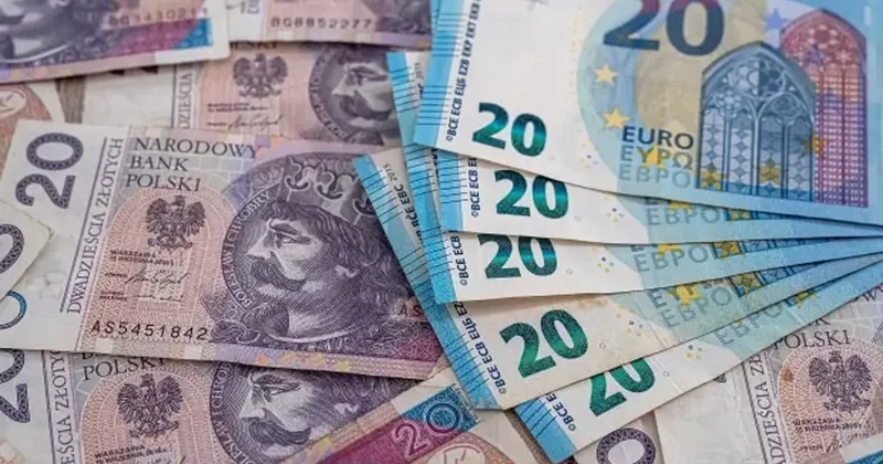 Polonya dan ‘Euro’ kararı: Ekonomimiz güçlü, acelemiz yok