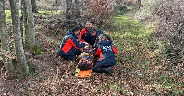 Kaybolan demans hastası 5 saat sonra bulundu Çanakkale Haberleri