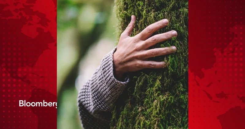 Sağlıklı insanların her gün yaptığı şeyler nelerdir?