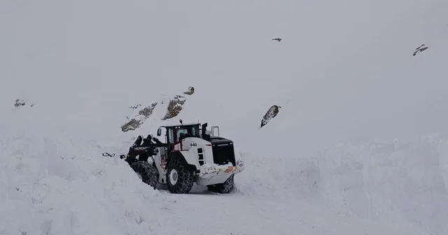 Şırnak ta karla mücadele ekipleri eksi 14 derecede de sahada Şırnak Haberleri