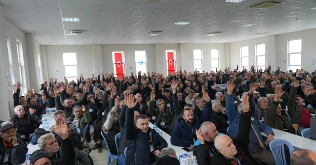 Orhangazi Zeytin Tarım Satış Kooperatifi nde Hüseyin Sevdi dönemi başladı Bursa Haberleri