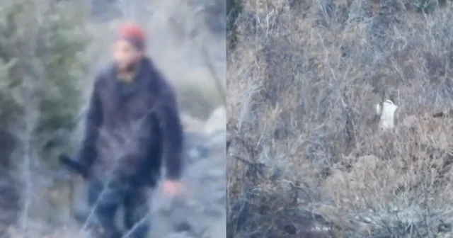 Artvin de yasa dışı avcılığa geçit yok Artvin Haberleri