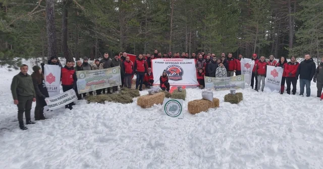 Kastamonu da karla kaplanan ormanlara yaban hayvanları için yiyecek bırakıldı Kastamonu Haberleri