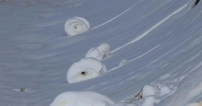 Böylesi 40 yılda bir görülür: Türkiye de de rulo rulo ortaya çıktı