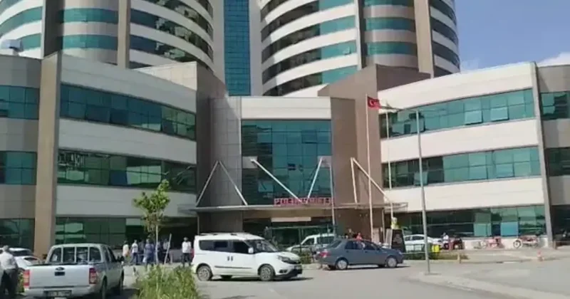 Mersin de sokak köpeği dehşeti: 2 yaşındaki bebeğe saldırdı