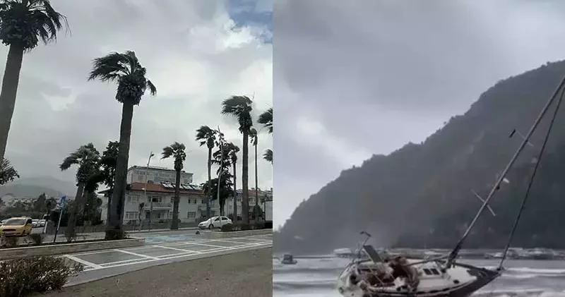 Marmaris’te fırtına; ağaçlar devrildi, yelkenli tekne karaya oturdu
