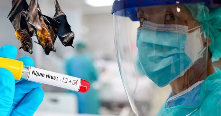 Dünya sağlık örgütü alarm verdi! Hindistan’da ortaya çıkan Nipah virüsü yeni bir pandeminin mi habercisi? Türkiye için tehdit var mı?