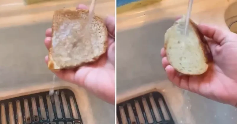 Marketten alınan ekmeği suya tuttu! Çıkan sonuç tüyler ürpertici