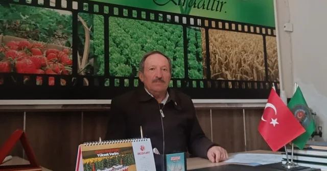 Pazaryeri nde tütün ve ipek böceği yetiştirme çalışmaları başladı Bilecik Haberleri