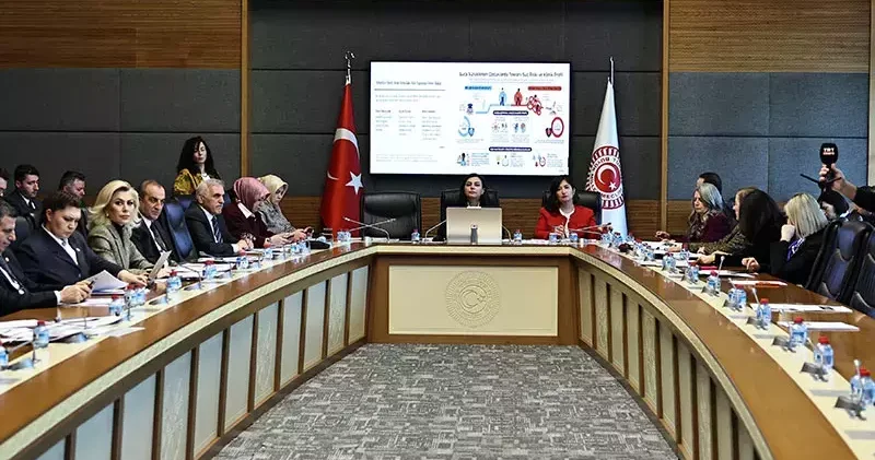 TBMM Suça Sürüklenen Çocuklara İlişkin Araştırma Komisyonu toplandı