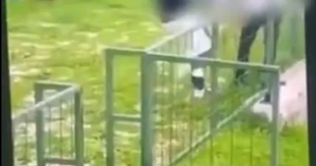 Bodrum da akran zorbalığı: Çocuğu feci şekilde darbederek bayılttı Muğla Haberleri