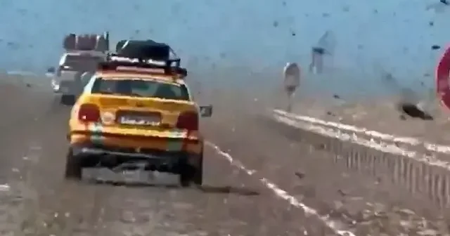 Fas ta gerçeküstü manzara: Milyonlarca çekirge yolları istila etti VİDEO İZLE