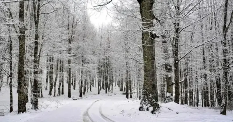 4 ilimizde eğitime kar yağışı engeli: Okullar tatil edildi!