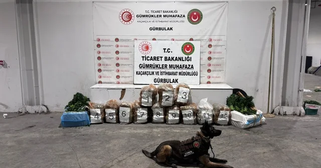 Ağrı da Gürbulak Sınır Kapısı nda 51 kilo 520 gram esrar ele geçirildi Ağrı Haberleri